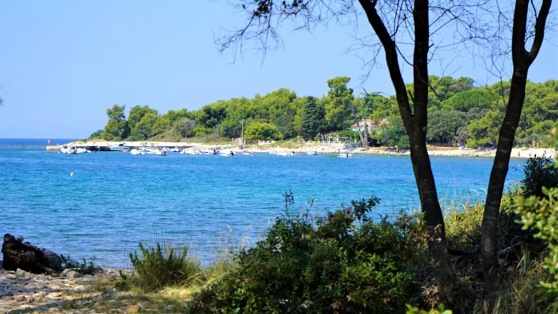 Apartmani Lisicak Vodnjan Croatia