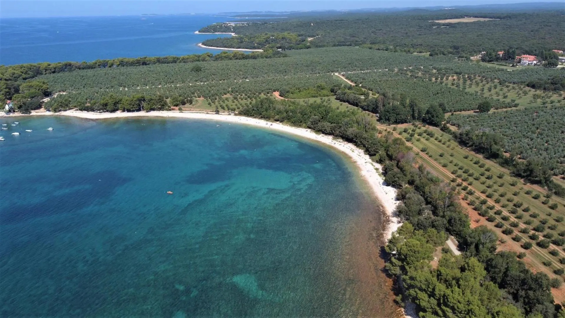 Apartment Apartmani Lisicak Vodnjan Croatia